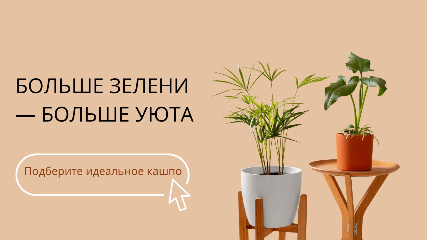 Горшки и кашпо для цветов